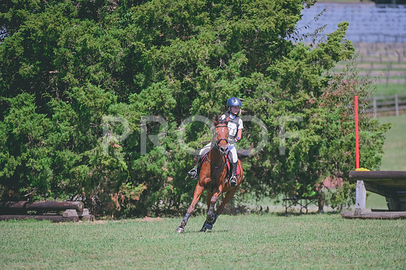 DSC_7022
