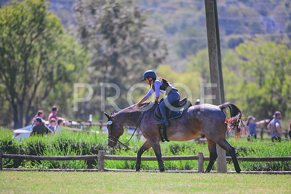 DSC_7732