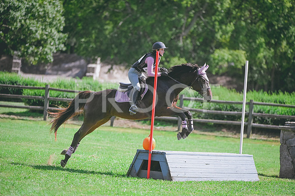 DSC_9939