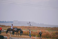 DSC_3514