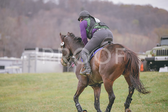 MEL_0954
