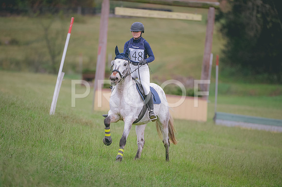 JJS_6311