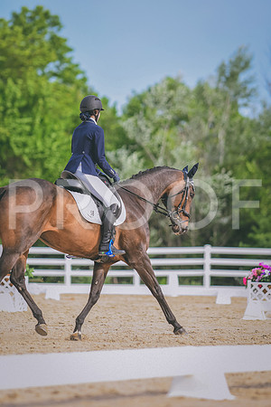DSC_0365 copy