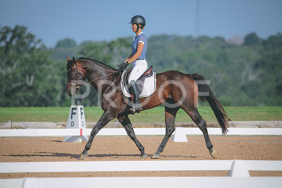RWP_4589