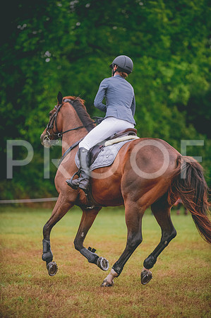 JJS_0888