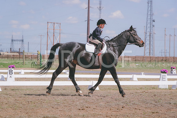 CDH_9151