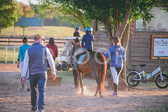 DSC_0297