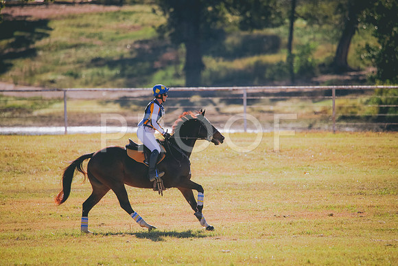 RWP_3647