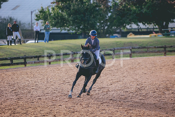 0N0A0182