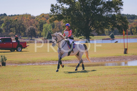 BW3A9336