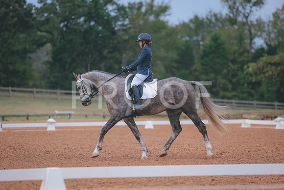 0N0A6103