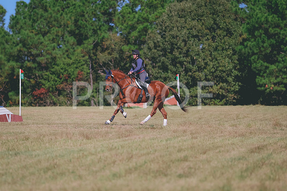 BW3A1115