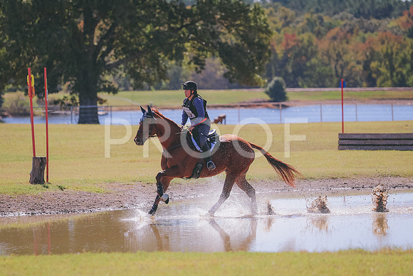 BW3A1186