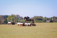 BW3A1506