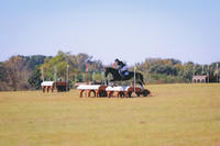 BW3A1651