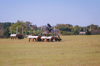 BW3A1765