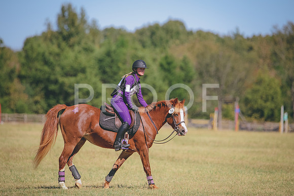 RWP_5678