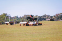 BW3A3382