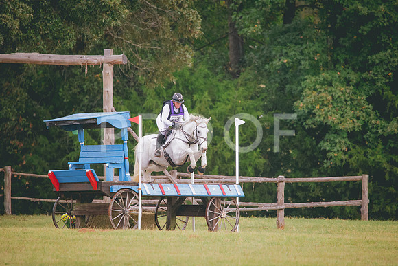 RWP_1197