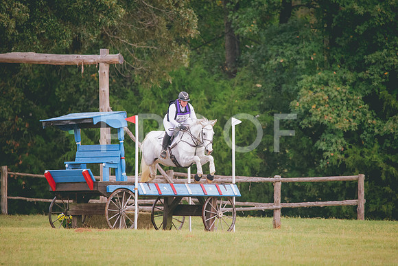 RWP_1198