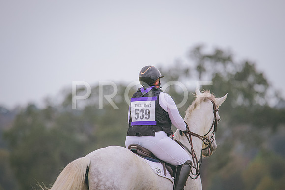 RWP_1212