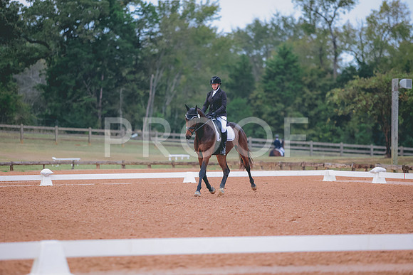 0N0A5579