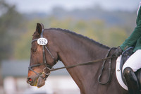 RWP_0266