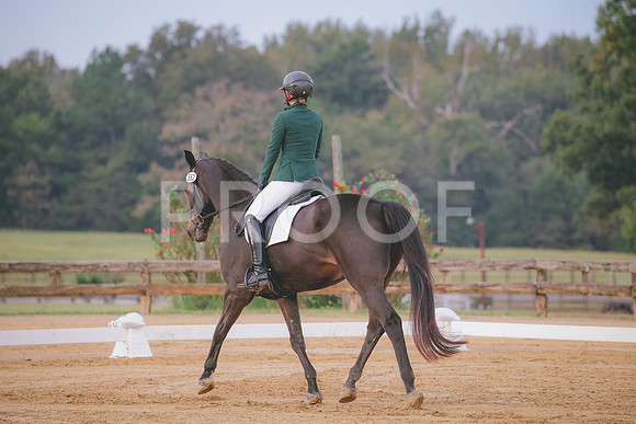 RWP_0267