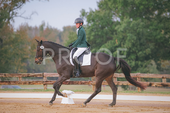 RWP_0301