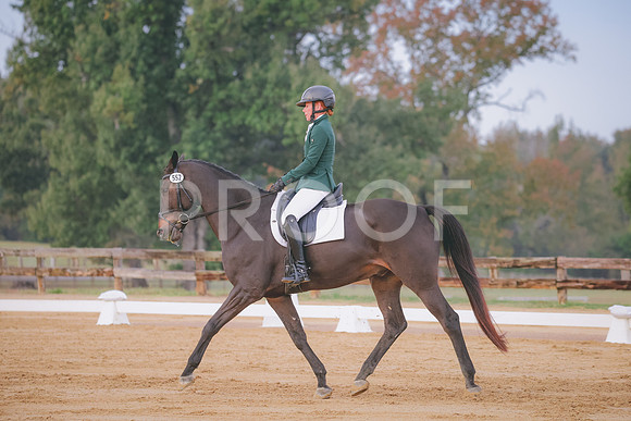 RWP_0306