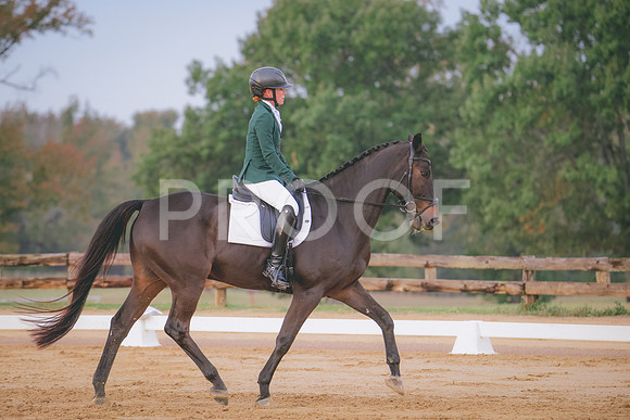 RWP_0294