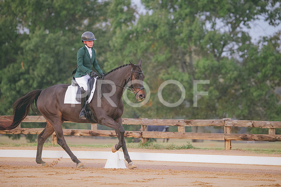 RWP_0309