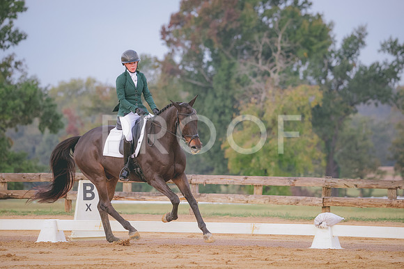 RWP_0311