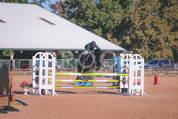 0N0A2195