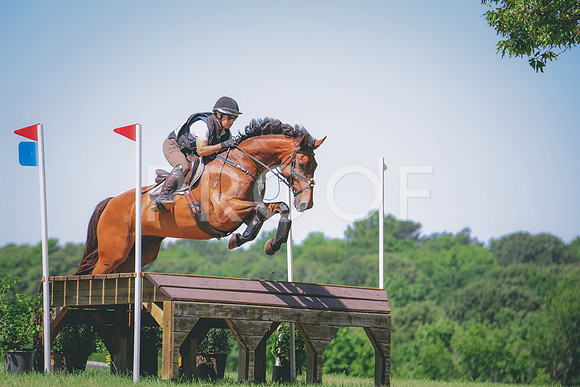 RWP_6120