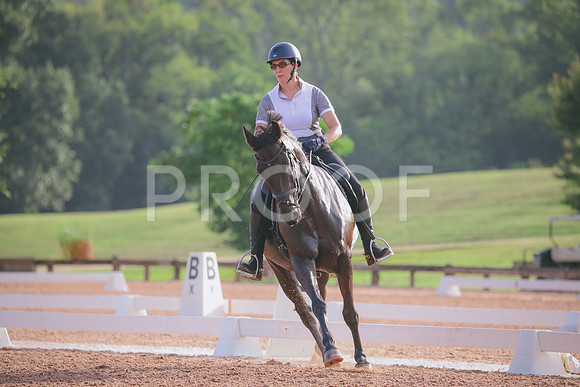 RWP_4253