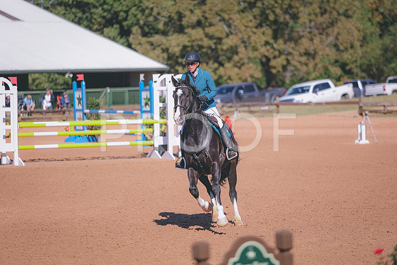 0N0A3392