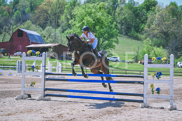 MEL_1338