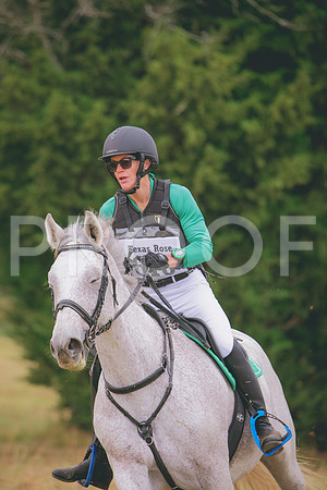 RWP_2873