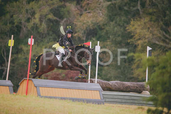 RWP_2904