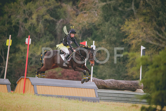 RWP_2905