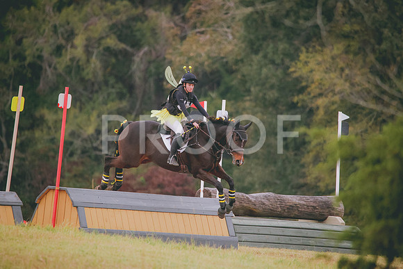 RWP_2906