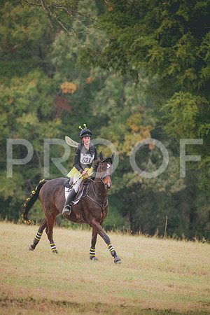 RWP_2909