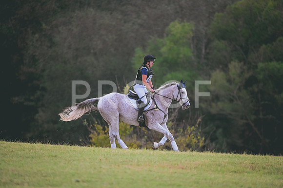DSC_9406A
