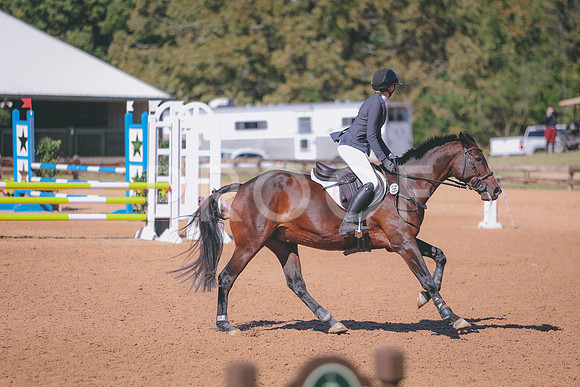 0N0A5465