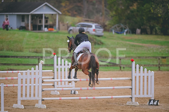 DSC_0207