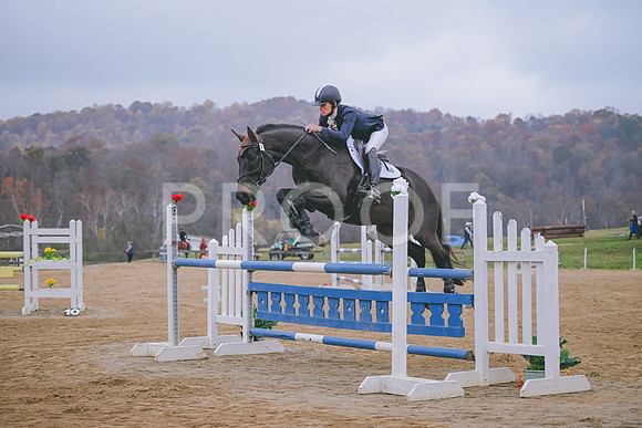 TLS_0084