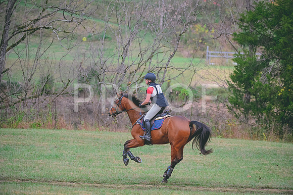 DSC_4623