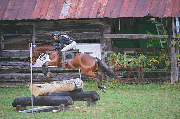 DSC_6429