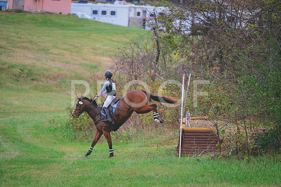 DSC_6009